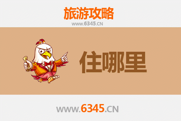 莆田仙游旅游住宿全攻略：舒适下榻，畅游文化名城